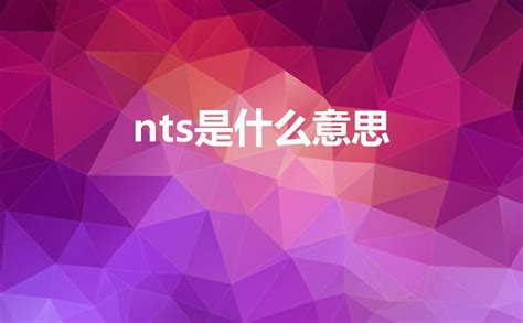 nts意思|NTS是什么意思